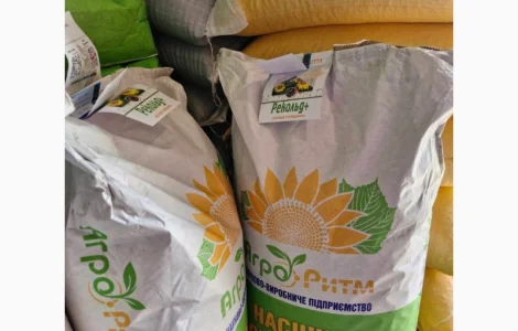 Насіння соняшнику Рекольд. Під гранстар. Для найтяжчих погодних умов