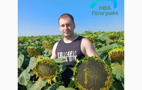 Один з кращих вітчизняних гібридів під гранстар "Флокс"