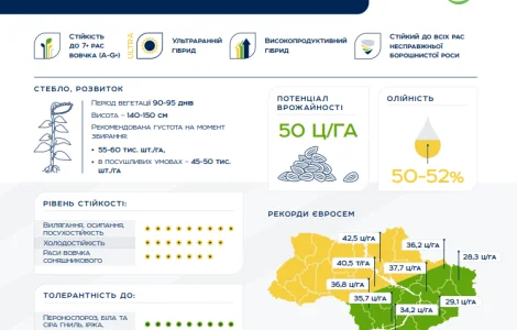 Насіння соняшника TOR 7+Сумо NS 7749