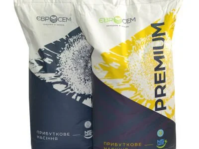 Насіння соняшника Старк 7+ Сумо NS 8004 – продажа