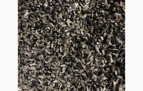 Куплю вторые сорта семечки