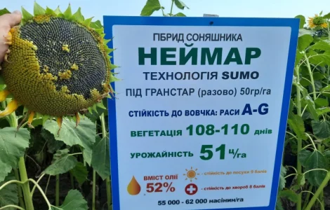 Семена соняшника Неймар A-G. Гібрид соняшника 43ц/га