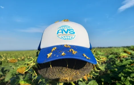 Семена подсолнечника под Гранстар ЕС АЛЬФА. Гибрид ЕС АЛЬФА заразиха A-G, 40ц/га. Стандарт