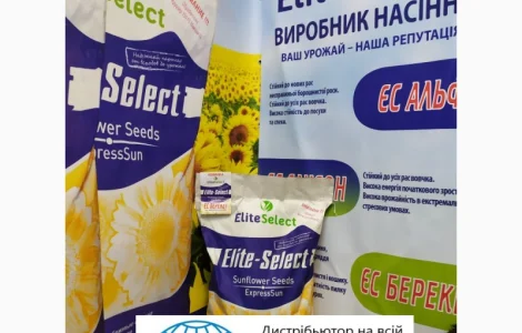 Подсолнечник под гербицид Гранстар Про Экспресс ЕС АЛЬФА. Засухоустойчивый гибрид ЕС Альфа