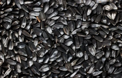 Продам насіння соняшника у великій кількості за готівку. Насіння сухе та чисте