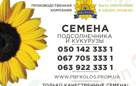 Качественное семя от производителя ПБФ «Колос»