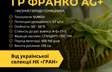 Насіння соняшника під гранстар гібрид ГР Франко (105-110дн) Ціна від 3300грн/п.о