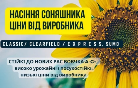 Новинка!!! Насіння Соняшника Гібрид - УРБАН OR7 (SU)