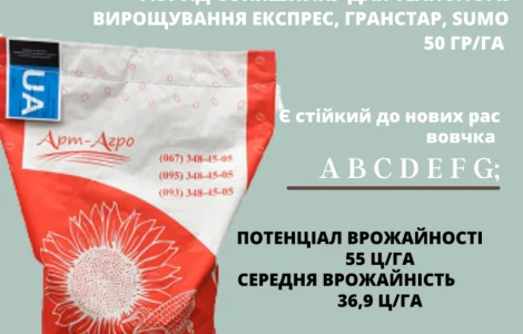 Високоурожайний гібрид соняшника "НЕЙМАР ПЛЮС OR7"