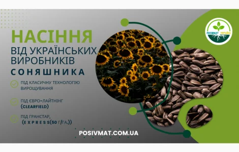 Урбан OR7+ (105-110 дн.) під гранстар 50 гр/га