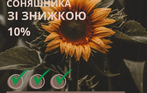 Посевной материал подсолнечника Гибрид ФениксOR7