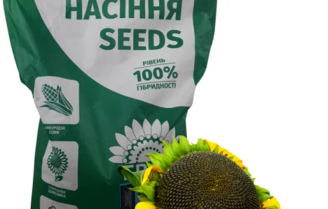Насіння подсолнечника гибрид КАРАТ (108-110дн.) гранстаростойкий