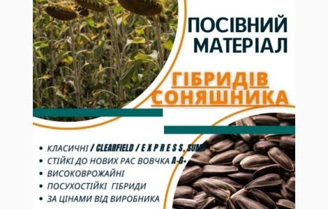 Посівний матеріал соняшника та кукурудзи