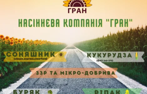 На посівну 2021 року насіння соняшника та кукурудзи за доступними цінами