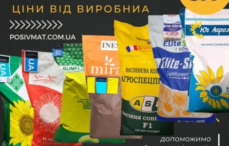 Насіння СОНЯШНИКА за цінами від виробника