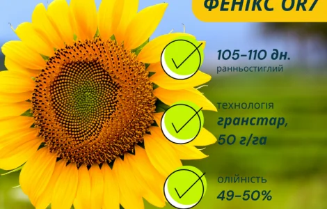 ФЕНІКС OR7