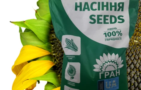 Посевной материал подсолнечника