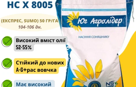 Насіння соняшника НС Х 8005 (Експрес)