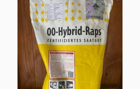 Насіння озимого ріпаку Акіла – високоврожайний та дуже стійкий до хвороб