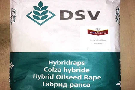 Принц - насіння озимого ріпаку нового покоління від DSV