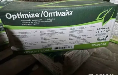 Гібрид озимого ріпаку СІ Харнас - Висока продуктивність та стійкість до посухи