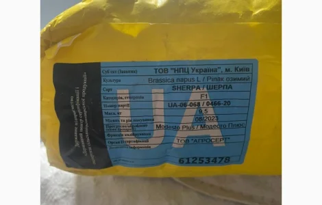 ШЕРПА (SHERPA) - високоврожайний і швидкорослий гібрид ріпаку Лембке NPZ