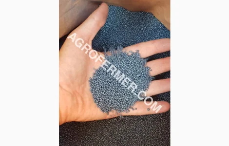 DEXTER Канадский нано - трансгенный гибрид рапса