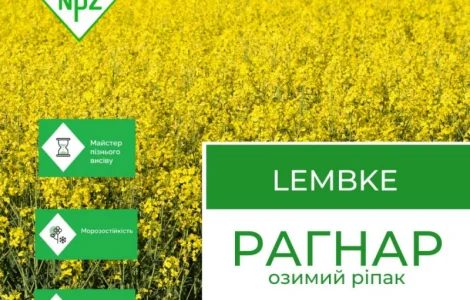 Насіння озимий ріпак Рагнар