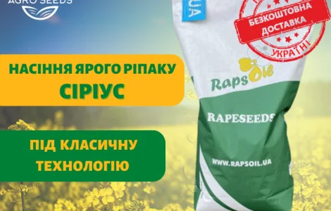 Насіння Ярого ріпаку гібрид Сіріус ( БЕЗ ГМО!) / Ярий ріпак Сіріус