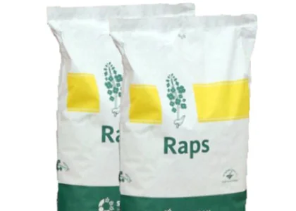 Насіння озимого ріпаку Граф - гібрид від Виробника "Заатбау"