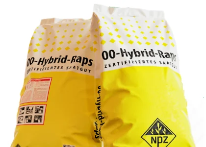 Насіння озимого ріпаку МЕРСЕДЕС