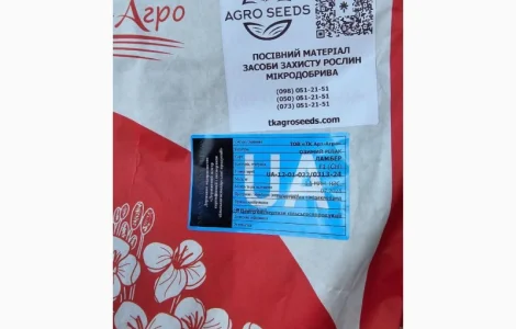 Озимий ріпак Ламбер - високоврожайний сорт