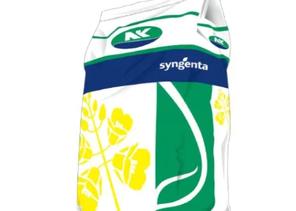Насіння озимого ріпаку НК Технік «Сингента» (Syngenta)