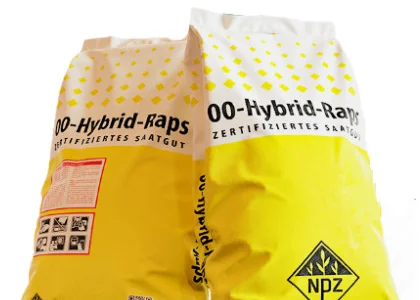 Насіння озимого ріпаку Куга