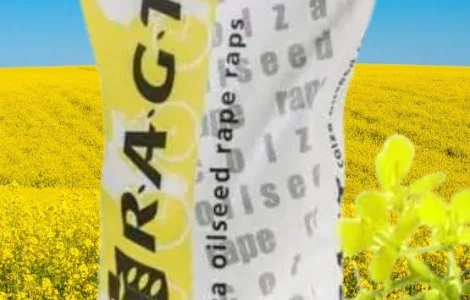 Насіння озимого ріпаку Треззор "RAGT"
