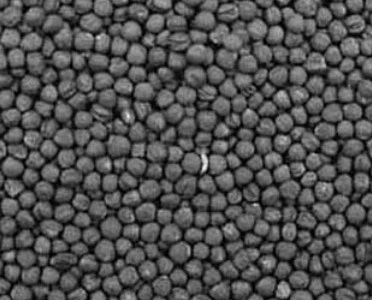 Организация закупает рапс с элеваторов и хозяйств со всей Украины