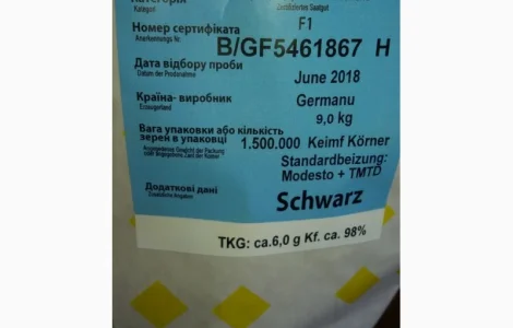 Продам семена озимого рапса