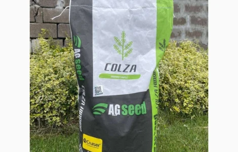 Озимий ріпак AGSEED Аргентина на продаж