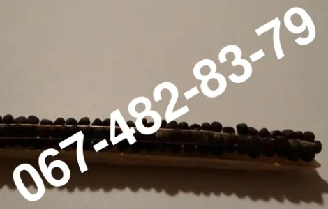 Продам семена озимого рапса ROCKFORD