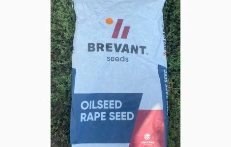 Насіння ріпаку BREVAND PT275