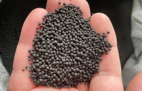 Продам Ріпак ярий під Раундап