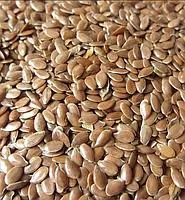 Семена льна ДЕБЮТ элита 1 репрод