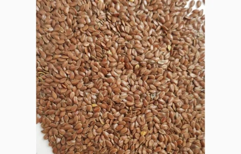 Насіння льону