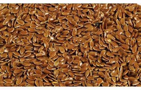 Закупаем лён масличный