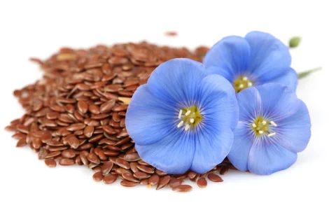 Cемена льна сорта Надёжный, Орфей, Версаль, Лирина, Голдберг (золотистый)