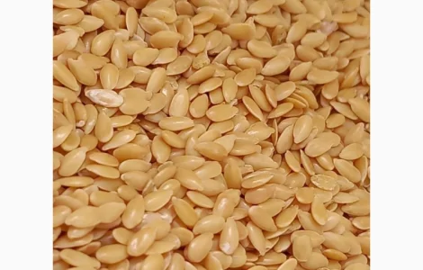 Льон Золотий