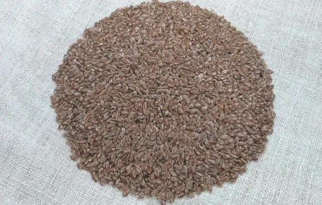 Насіння льону олійного Північна Зірка