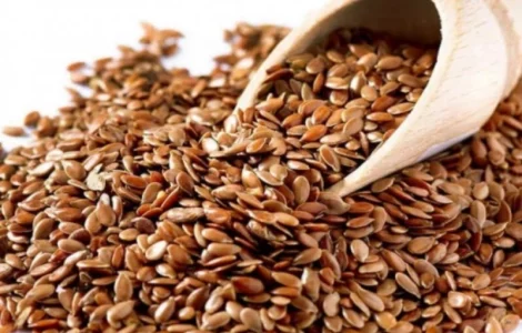 Закупаем льон