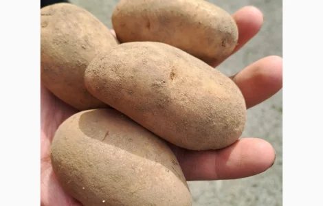 Покупаю коричневый лен в биг-бегах