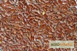 Лен семена купить